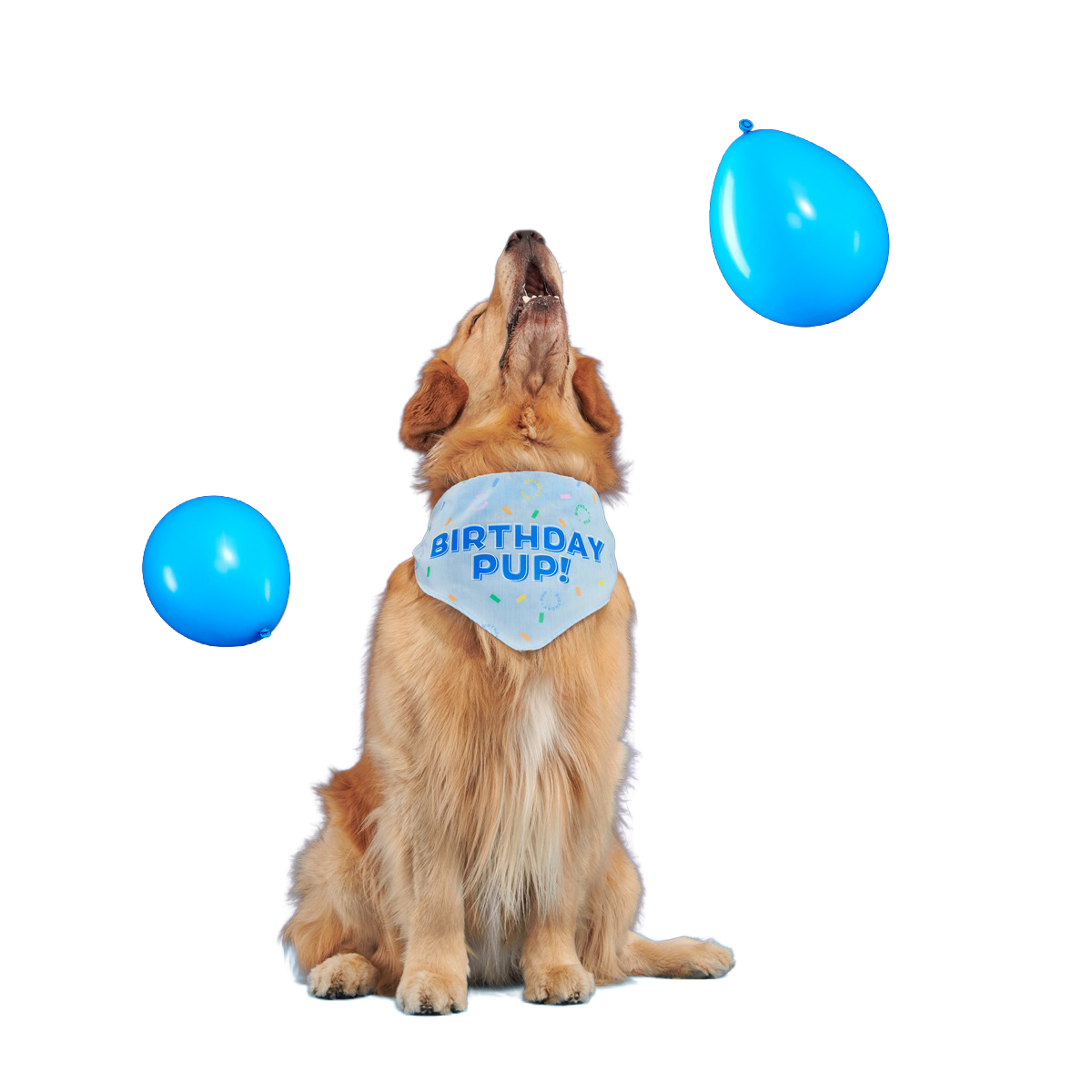 Birthday Dog Bandana