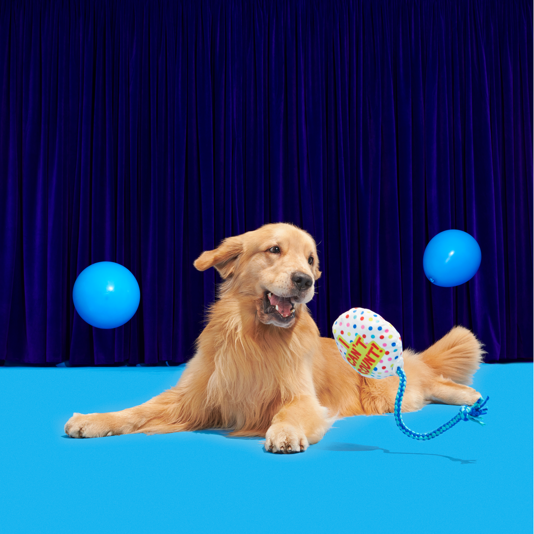 Yappy Birthday Balloon Plush Tug Dog Toy