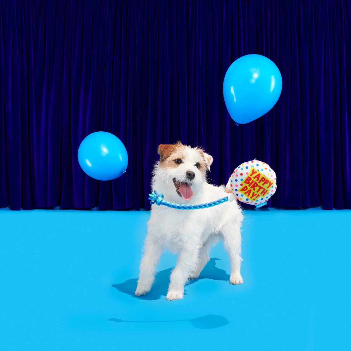 Yappy Birthday Balloon Plush Tug Dog Toy