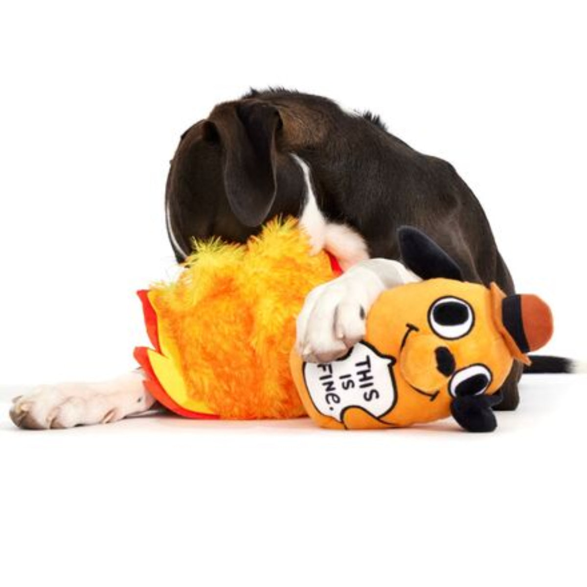 This is Fine Plush Multi-Part + Enrichment Dog Toy