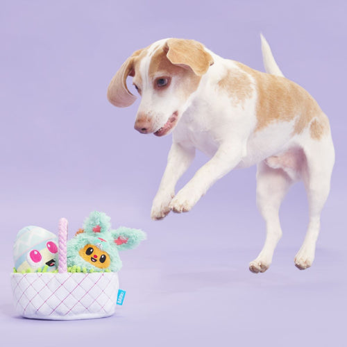 BARK Easter Bundle Plush Tug + Enrichment + Multi-Part Dog Toy